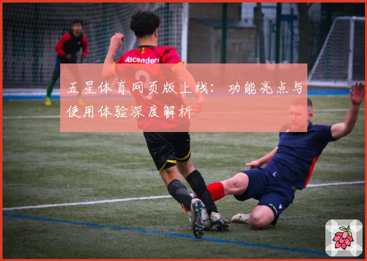 五星体育网页版上线：功能亮点与使用体验深度解析