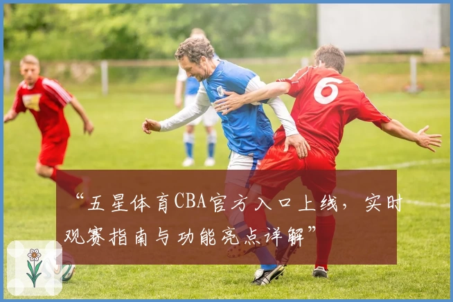 “五星体育CBA官方入口上线,实时观赛指南与功能亮点详解”