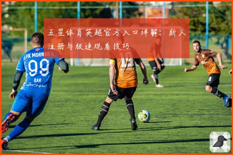 五星体育英超官方入口详解：新人注册与极速观看技巧