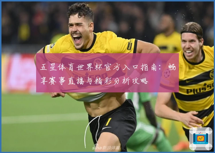 五星体育世界杯官方入口指南:畅享赛事直播与精彩分析攻略