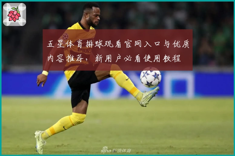 五星体育排球观看官网入口与优质内容推荐,新用户必看使用教程