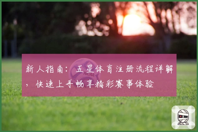 新人指南：五星体育注册流程详解，快速上手畅享精彩赛事体验